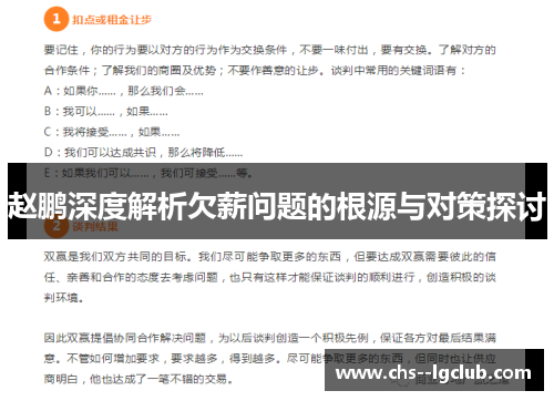 赵鹏深度解析欠薪问题的根源与对策探讨